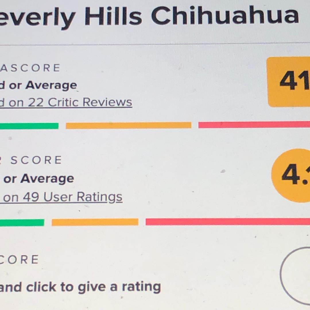 SICK WEEK ARCHIVE: THAT TALKING CHIHUAHUA MOVIE I MENTIONED IN THE LAST POST