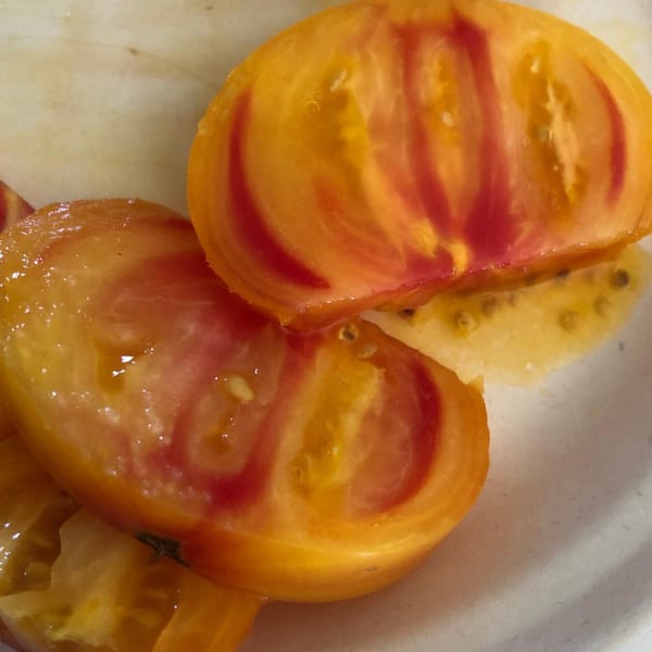 Look at this gorgeous tomato I just ate