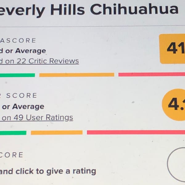 SICK WEEK ARCHIVE: THAT TALKING CHIHUAHUA MOVIE I MENTIONED IN THE LAST POST