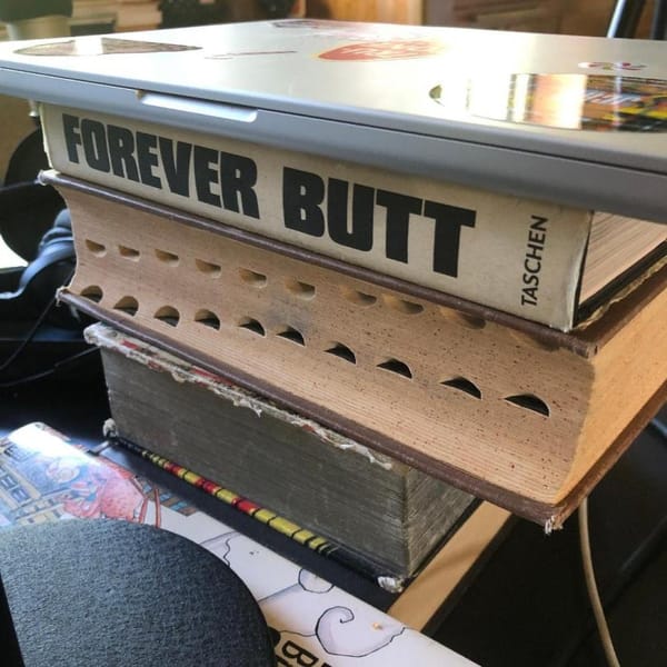 I was a performative reader